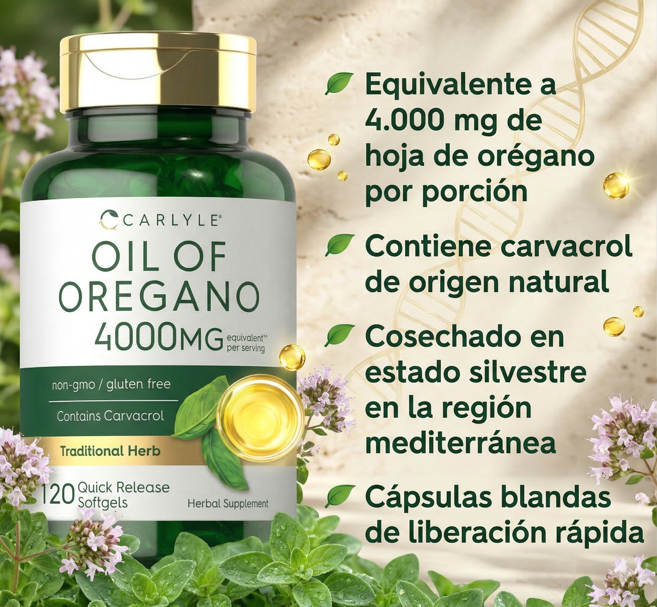 Oil of Oregano 4000mg - Carlyle x120 Cápsulas - InnovatecJDSM